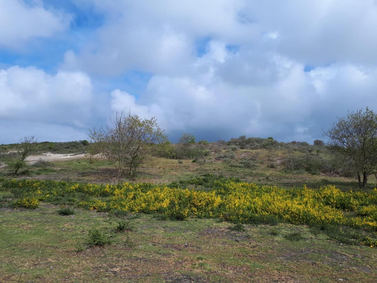 רנסה Vakantiehuis La Petite Redousse מראה חיצוני תמונה